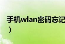 手机wlan密码忘记了（手机wlan密码怎么找）