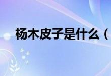 杨木皮子是什么（杨木皮子规格有哪些）