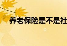 养老保险是不是社保（什么是养老保险）