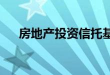  房地产投资信托基金的购物狂欢在领域 