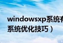 windowsxp系统有几个版本（windowsXP系统优化技巧）