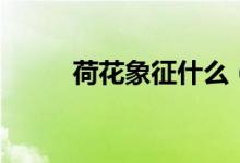 荷花象征什么（荷花的象征意义）