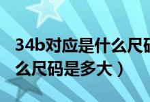34b对应是什么尺码胸围多少（胸围34b是什么尺码是多大）