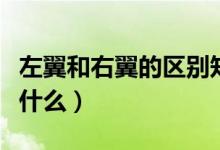 左翼和右翼的区别知乎（左翼和右翼的区别是什么）