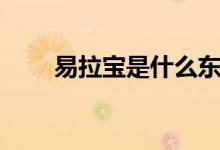 易拉宝是什么东西（尺寸一般多大）