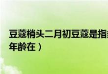 豆蔻梢头二月初豆蔻是指多少岁（豆蔻梢头二月初豆蔻是指年龄在）