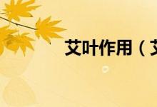 艾叶作用（艾叶有什么作用）