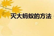 灭大蚂蚁的方法（这些方法见效最快）