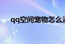 qq空间宠物怎么消失了（qq空间宠物）