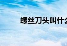 螺丝刀头叫什么（什么材质最好）