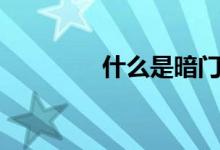 什么是暗门（要怎么安装）