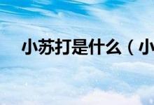 小苏打是什么（小苏打片的作用与功效）