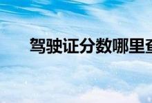 驾驶证分数哪里查（驾驶证分数查询）