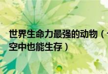 世界生命力最强的动物（十大生存能力最强的动物榜首在太空中也能生存）