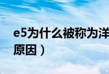 e5为什么被称为洋垃圾（e5被称为洋垃圾的原因）