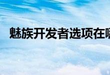 魅族开发者选项在哪里（魅族开发者社区）