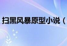 扫黑风暴原型小说（扫黑风暴有原型小说吗）