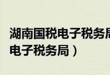 湖南国税电子税务局系统维护时间（湖南国税电子税务局）