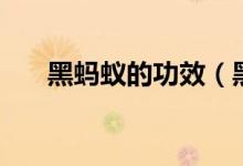 黑蚂蚁的功效（黑蚂蚁的功效是什么）