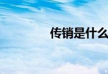 传销是什么（什么是传销）
