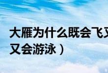 大雁为什么既会飞又会游泳（为什么大雁会飞又会游泳）