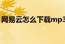 网易云怎么下载mp3格式（网易云怎么抱抱）