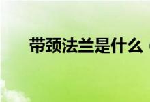 带颈法兰是什么（带颈法兰尺寸标准）