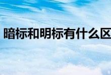 暗标和明标有什么区别（暗标和明标的区别）
