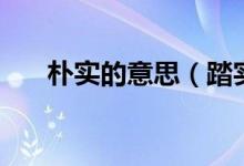 朴实的意思（踏实而务实是什么意思）