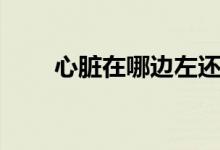 心脏在哪边左还是右（心脏有多大）