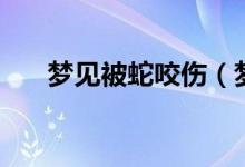 梦见被蛇咬伤（梦见被蛇咬伤好不好）