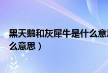 黑天鹅和灰犀牛是什么意思以及案例（黑天鹅和灰犀牛是什么意思）