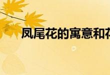 凤尾花的寓意和花语（凤尾花怎么养）