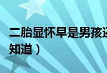 二胎显怀早是男孩还是女孩（二胎生男生女早知道）