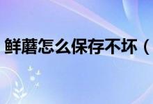 鲜蘑怎么保存不坏（保存鲜蘑菇不坏的方法）