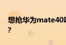  想抢华为mate40吗？如何预订华为mate40？ 