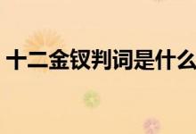 十二金钗判词是什么（红楼梦十二金钗判词）
