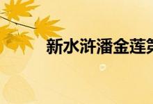 新水浒潘金莲第几集（剧情简介）