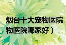 烟台十大宠物医院（烟台宠物医院排名烟台动物医院哪家好）