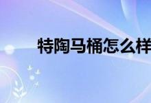 特陶马桶怎么样（特陶马桶价格表）
