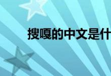 搜嘎的中文是什么（搜嘎什么意思）
