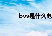 bvv是什么电线（有什么特性）