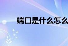 端口是什么怎么填写（端口是什么）