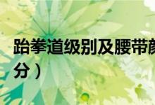 跆拳道级别及腰带颜色图片（跆拳道级别怎么分）