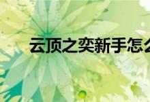 云顶之奕新手怎么玩（新手入门攻略）