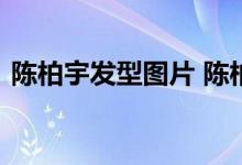  陈柏宇发型图片 陈柏宇超帅有型飞机头发型 