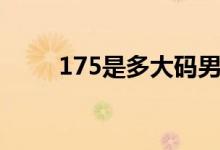 175是多大码男装（175是多大码）