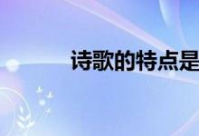 诗歌的特点是什么（诗歌简介）