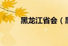 黑龙江省会（黑龙江省会在哪里）