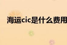 海运cic是什么费用（cic收费标准是多少）